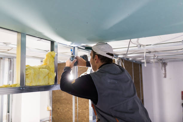 Best Insulation for Specific Applications in Wapello, IA