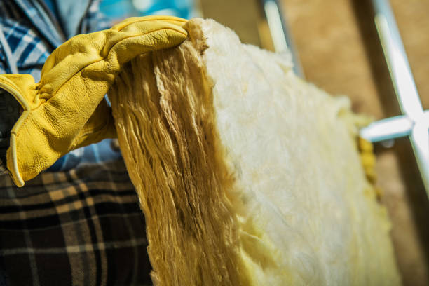 Best Spray Foam Insulation in Wapello, IA