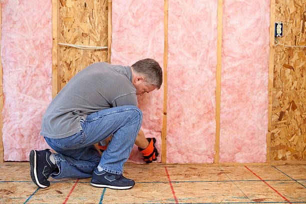 Trusted Wapello, IA Insulation Contractor Experts