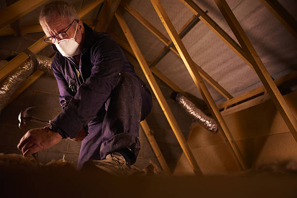 Best Blown-in Insulation in Wapello, IA